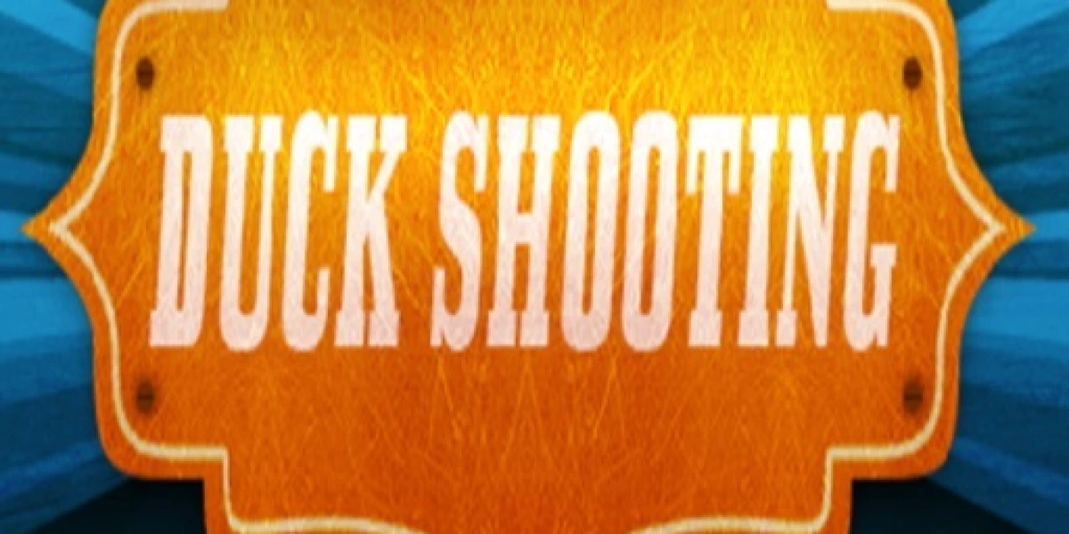 DuckShooting: A Funny Puzzle Adventure image