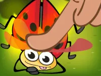 Insect Crush background
