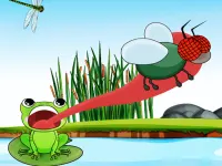 Hungry Frog background