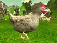 Chicken Shooting background