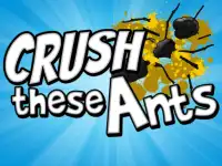 Crush These Ants background