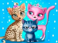 Cat Hair Salon background