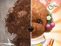 Pet Makeup Master background