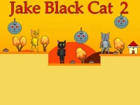 Jake Black Cat 2 background