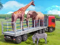 Truck Driving Animal Transport background