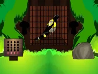 Black Bird Escape background