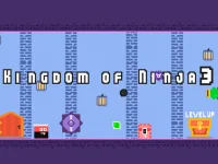 Kingdom of Ninja 3 background