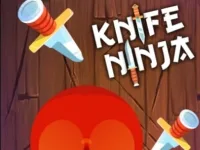 Knife Ninja background