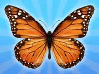 MergeButerfly: 2048! background