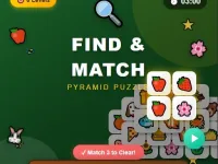Find n Match background