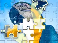 Puzzle Challenge background