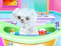 My New Poodle Friend background