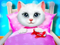 Kitty Bedtime Activities background