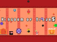 Kingdom of Ninja 5 background