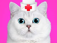Cat Pet Doctor Dentist background