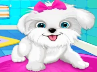 Puppy: Pet Salon & Dog Daycare background