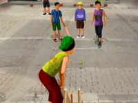 Gully Cricket background