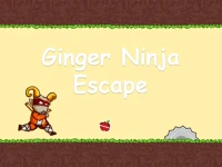 Ginger Ninja Escape background