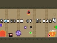 Kingdom of Ninja 4 background