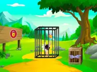 Rescue The Ostrich Chick background