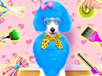 Princess Pet Beauty Salon background