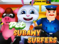 Pet Subway Surfeurs background