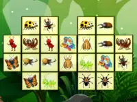 Connect The Insects background