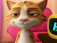 TalkBack Cat background