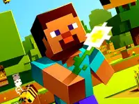 Minecraft Memory Challenge background