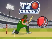 T20 Cricket background