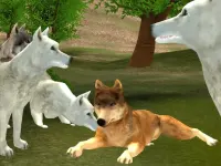 Wild Wolves background