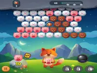 Animal Bubble Blast background