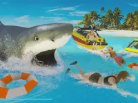 LA Shark background