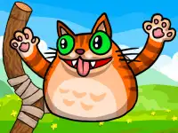 Angry Cat Shot background