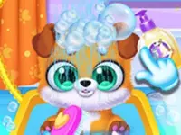 Newborn Puppy Salon background