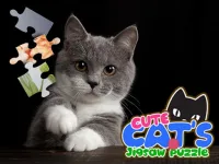 CUTE CATS JIGSAW PUZZLE background