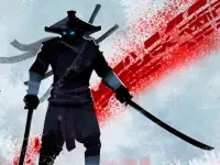 Ninja Arashi background