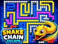 Snake Chain Escape background