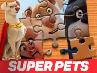 DC League of Super Pets Jigsaw Puzzle background