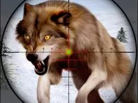 Fox Hunting Sniper Shooting background