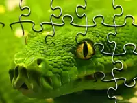 Snakes Jigsaw Puzzle background