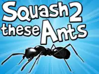 Squash These Ants 2 background