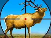 Wild Deer Hunting 3D background