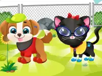 Pets Beauty Salon background