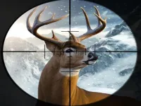 Hunter 3d background