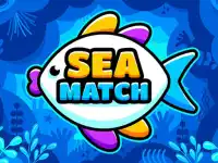 Sea Match background