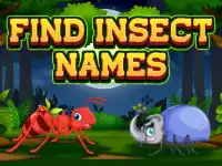 Find Insect Names background