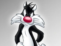 Sylvester Dress Up background