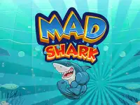 Mad Shark Fish background