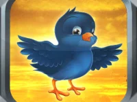 Bird Fly background